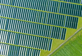 مجال الزراعة